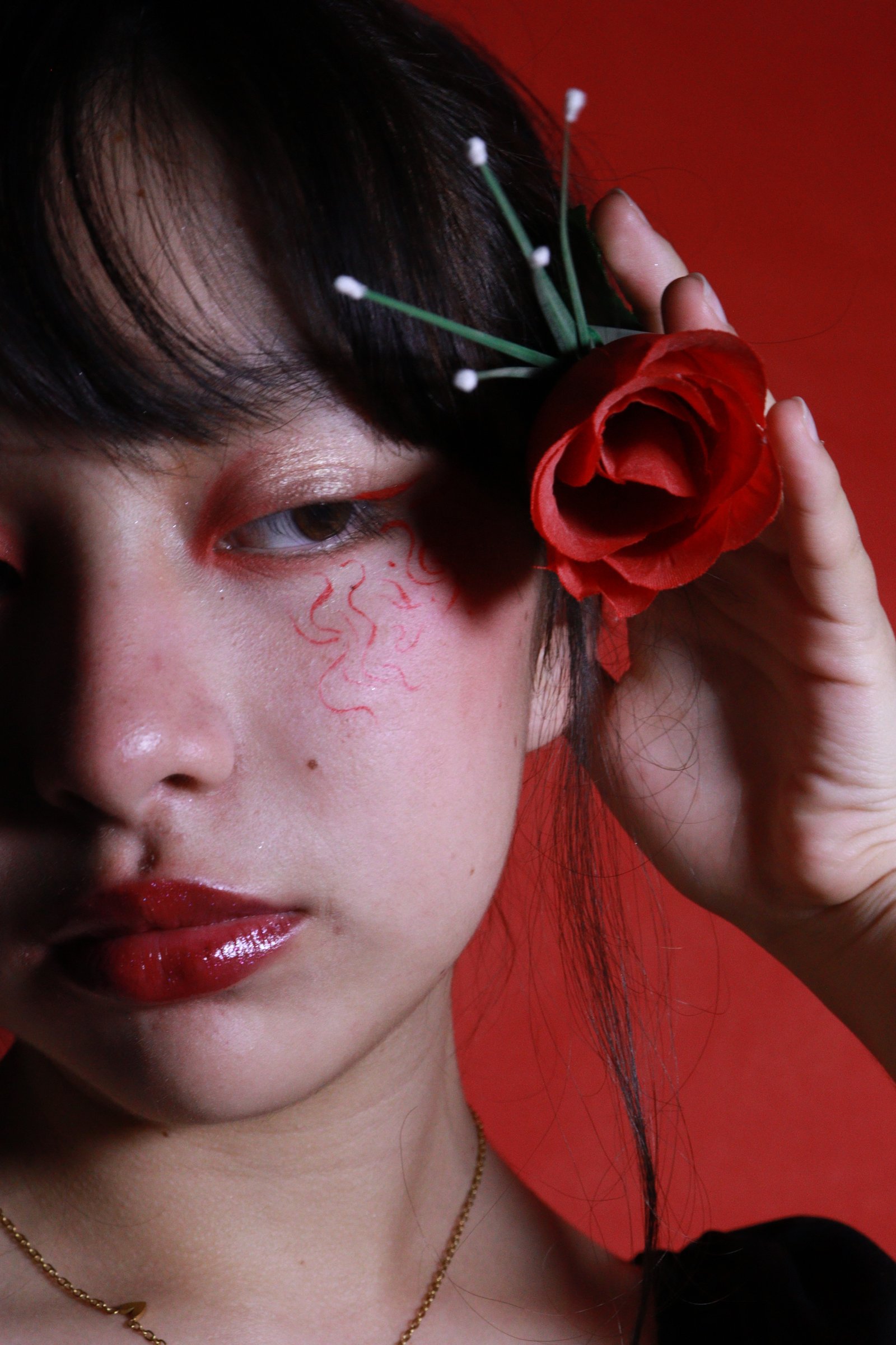 Fotografía  Artística 5