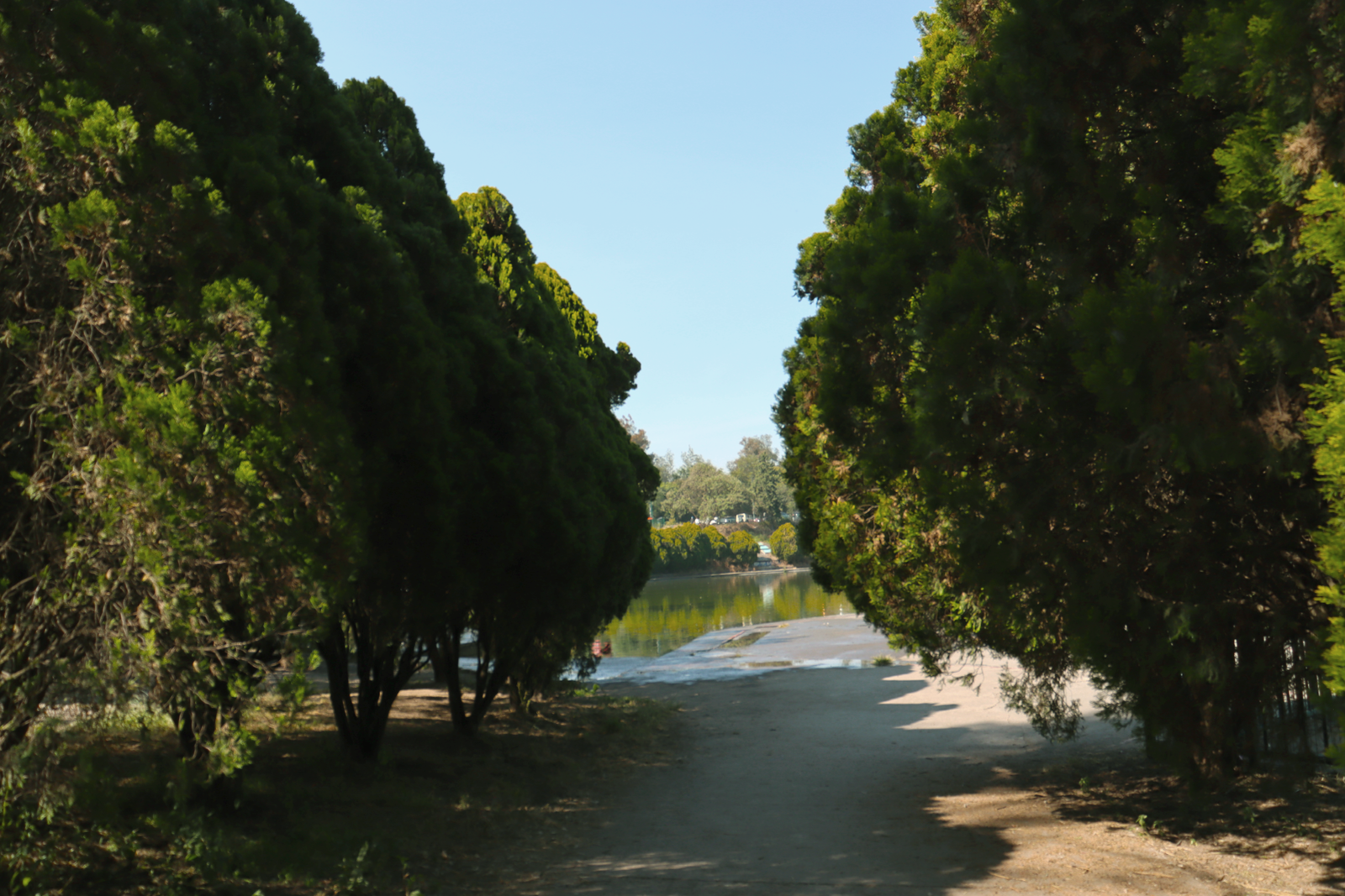 Fotografía Artística 1