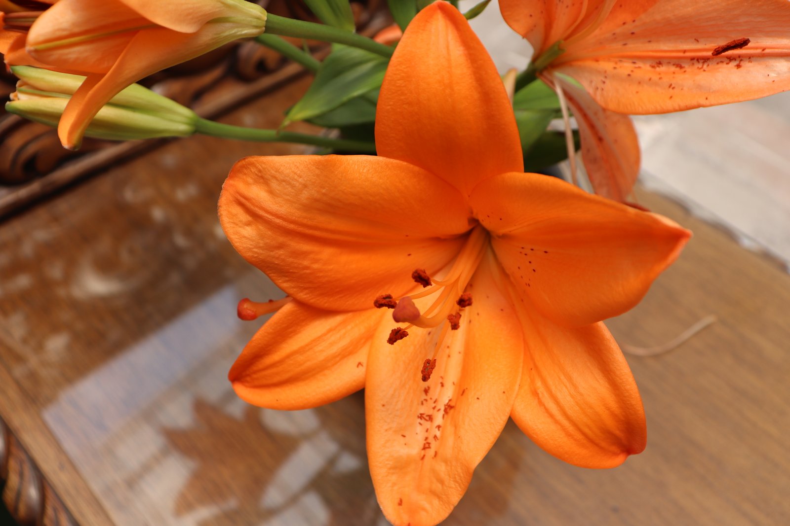 Fotografía Artística 21