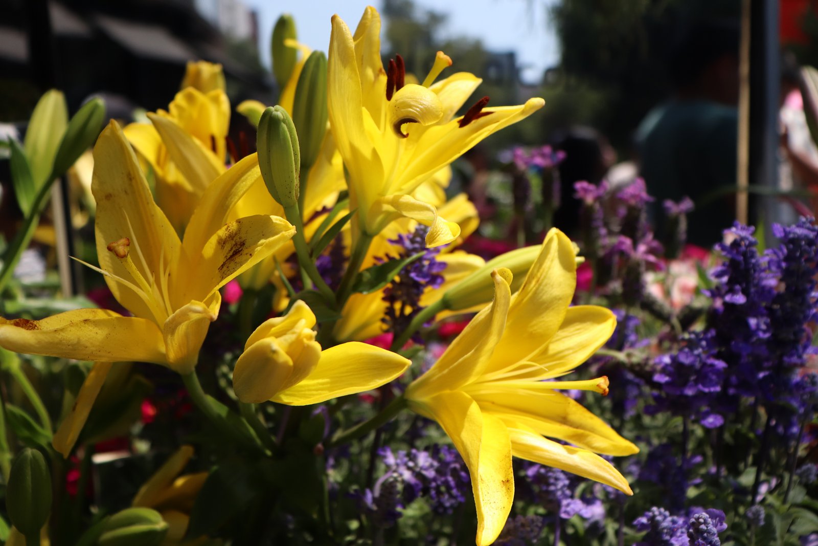 Fotografía Artística 23