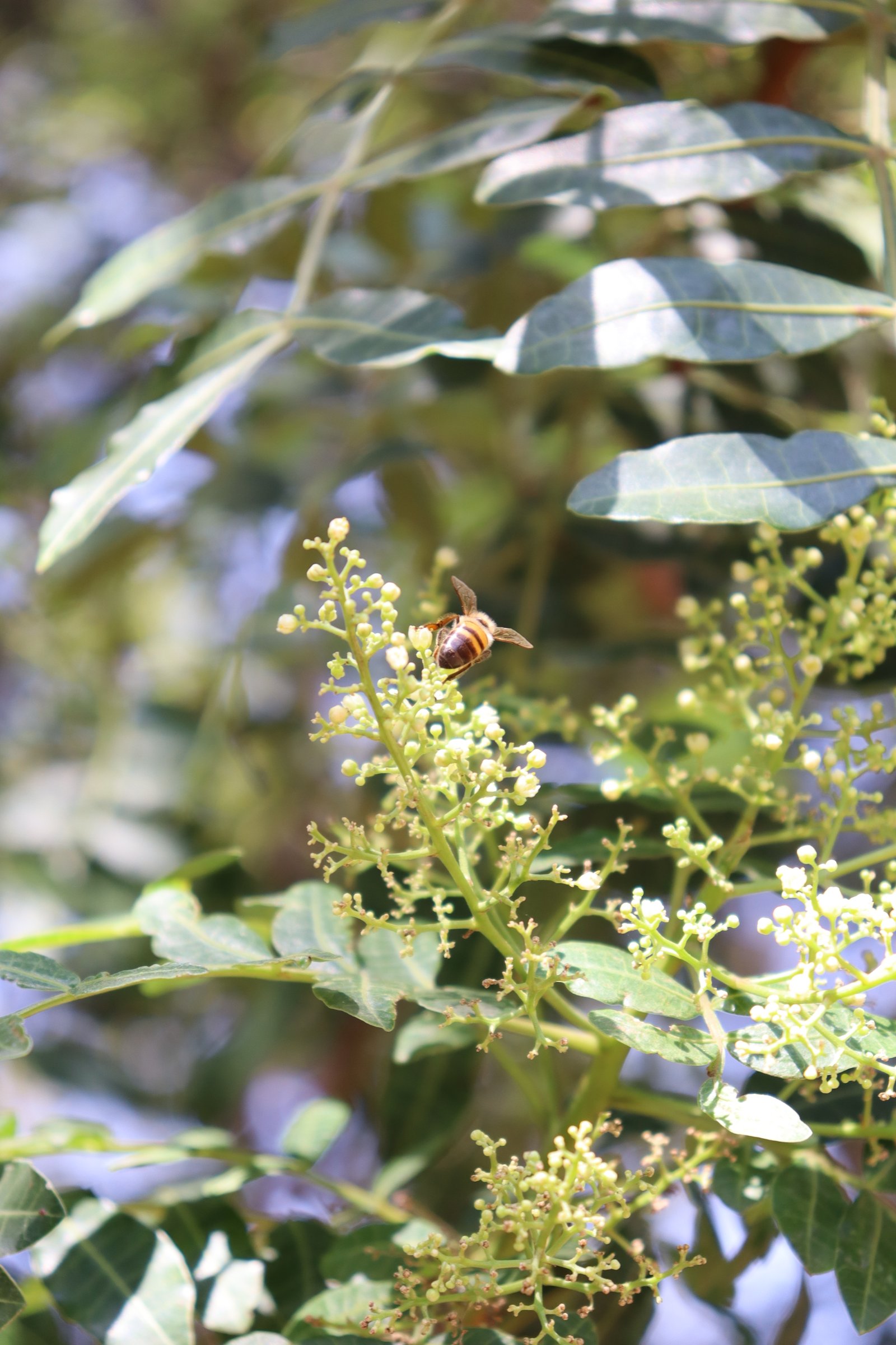 Fotografía Artística 17