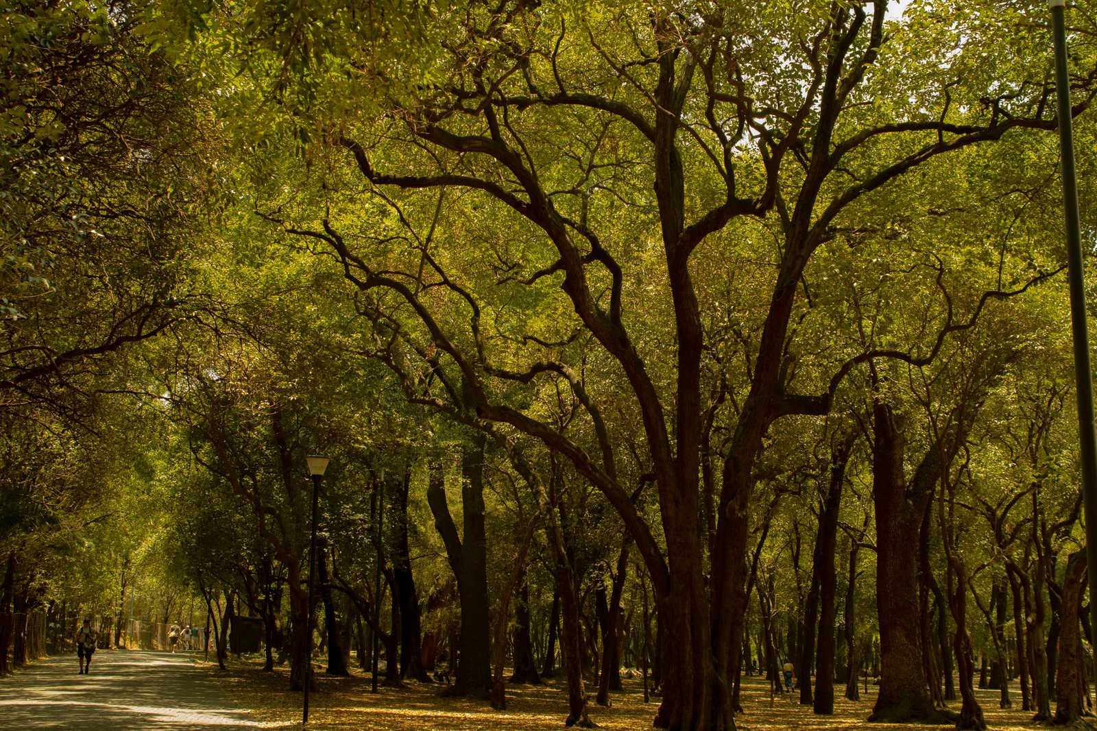 Fotografía Artística 3