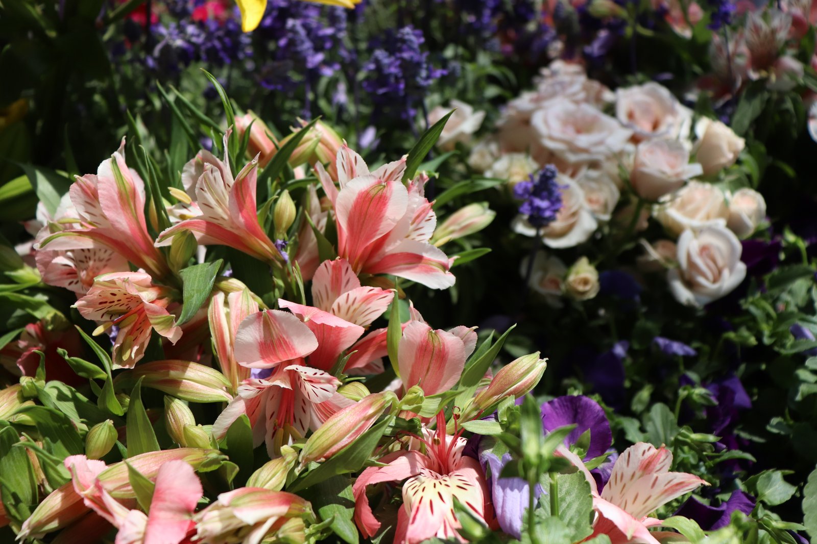 Fotografía Artística 9